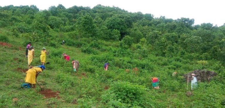 प्रकृति के प्रति समर्पण का संकल्प : छत्तीसगढ़ बना हरियाली, जल और जीवन का प्रहरी