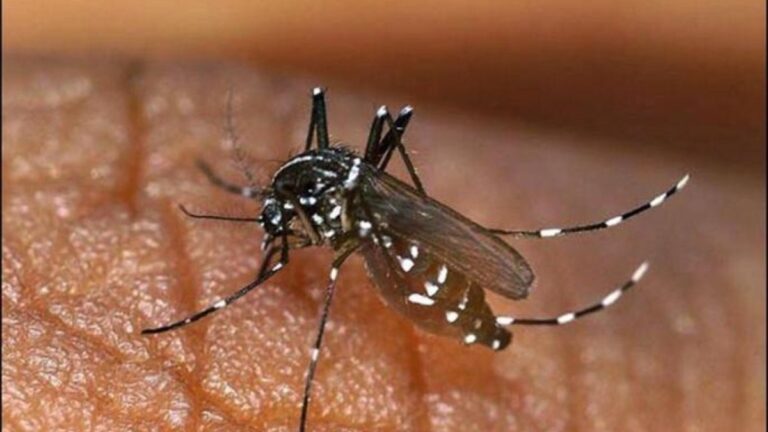 असम में जापानी इंसेफलाइटिस का कहर, स्वास्थ्य विभाग अलर्ट पर