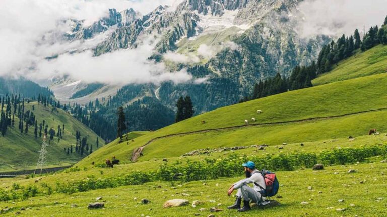 लोलाब वैली: कश्मीर की हरी चादर में लिपटी एक शांत, रहस्यमय और आत्मीय घाटी