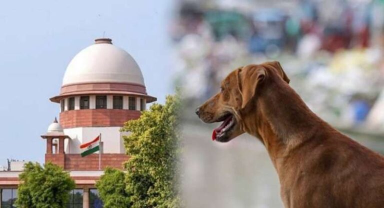 सुप्रीम कोर्ट में आवारा कुत्तों के मामले की फिर सुनवाई, पशु प्रेमियों की आपत्ति के बाद नया मोड़