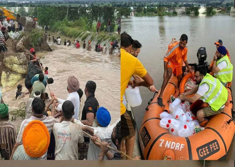 पंजाब में बाढ़ का कहर, ग्रामीण इलाके सबसे ज्यादा प्रभावित; एनडीआरएफ और एसडीआरएफ कर रहे बचाव कार्य