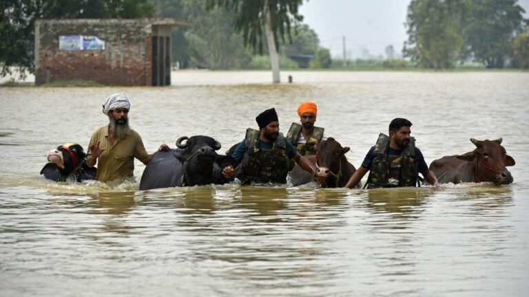 पंजाब के सभी 23 जिले बाढ़ प्रभावित घोषित, 3.5 लाख लोग प्रभावित; सीएम मान ने केंद्र से मांगे 60,000 करोड़