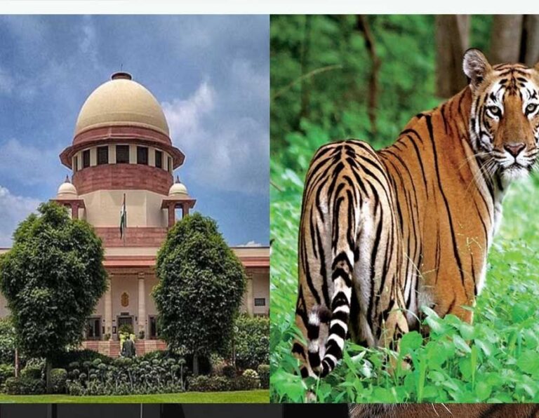 सुप्रीम कोर्ट ने बाघ शिकार गिरोह पर CBI जांच की मांग पर केंद्र से मांगा जवाब