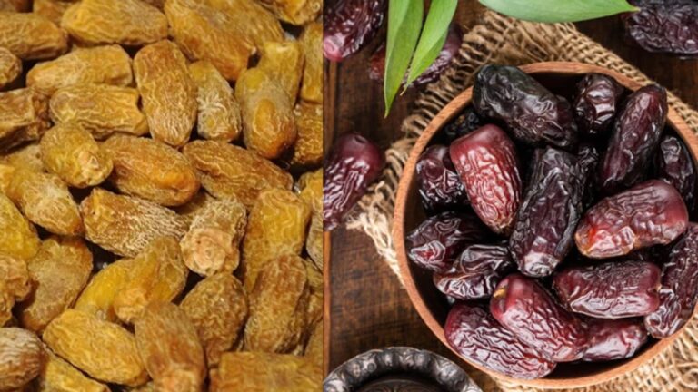 स्वास्थ्य का खज़ाना: खजूर और छुहारे के अद्भुत फायदे