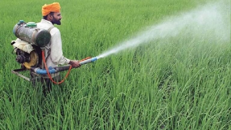 मिट्टी की चीख: रासायनिक नशे से जैविक जागरण तक – अब समय है धरती माँ को बचाने का