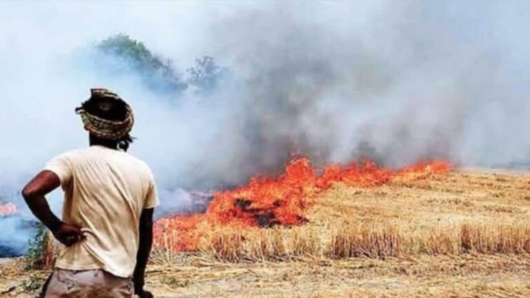 पराली जलाने में रिकॉर्ड कमी: सकारात्मक संकेत लेकिन अपूर्ण समाधान