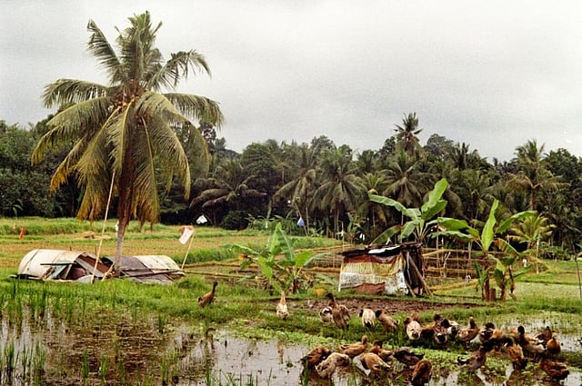 आंध्र प्रदेश में दित्वाह का गहरा खतरा—नेल्लूर, चित्तूर, तिरुपति और अन्नमय्या में रेड अलर्ट, मछुआरों को समुद्र में जाने से रोक