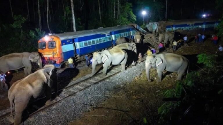असम में दिल दहला देने वाला हादसा: राजधानी एक्सप्रेस से टकराया हाथियों का झुंड, 8 हाथियों की मौत