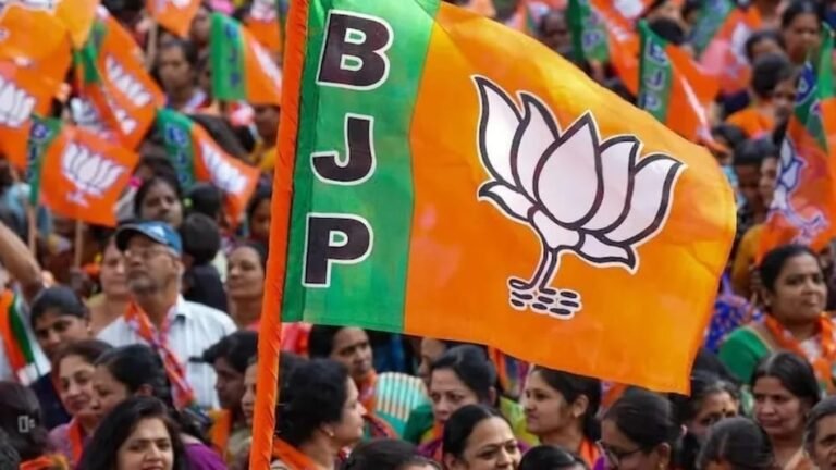 WATCH VIDEO: बीजेपी को मिलेगा नया अध्यक्ष, नामांकन प्रक्रिया शुरू