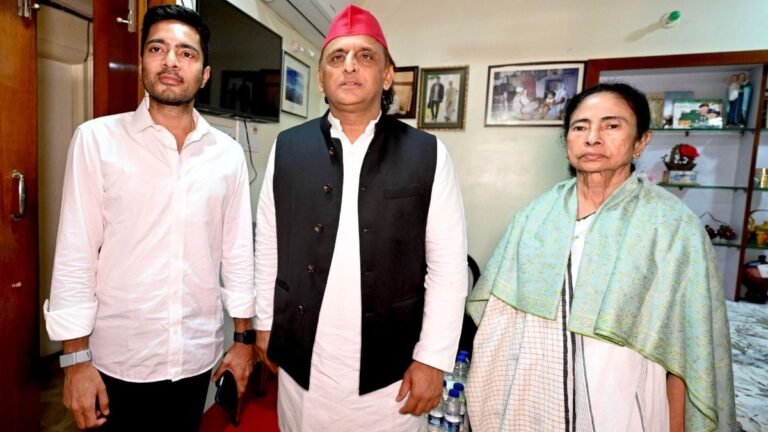 बीजेपी की आंखों में दीदी खटकती हैं :  अखिलेश यादव