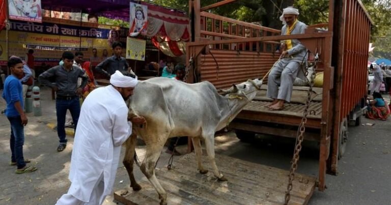 तमिलनाडु में गौहत्या पर तत्काल रोक का आदेश! मद्रास हाईकोर्ट ने बकरीद से पहले सरकार और पुलिस को दिए सख्त निर्देश
